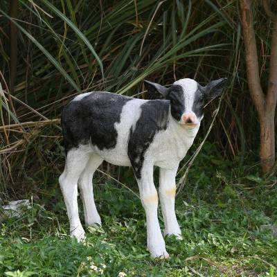 Animal Sculpture Mold SC-B-79 1080*450*970